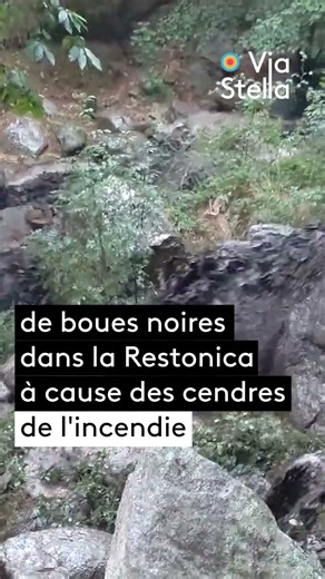 Les pluies d'hier dans le Cortenais ont provoqué des coulées de cendre dans la Restonica