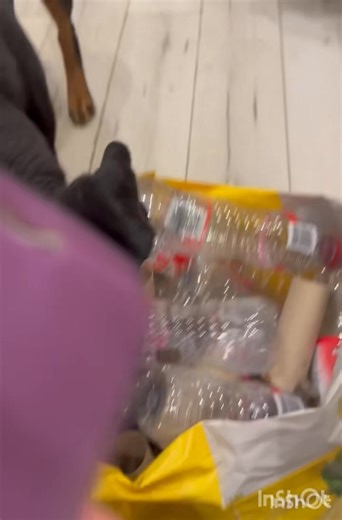 Confidence box, noise box, forage box …. Known by many names. I took it a step further today by using a bag instead of a box (boxes are more solid) also the bottles were very loud. Doris took a minute before putting her head all the way in ….. Stephen has no hesitation. 🙄 Reuse, repurpose, recycle! ♻️ #dogtrainerlife #stephenanddoris #thedogladydungarvan #rottweiler #stephentherottweiler #dorisandstephen #thedogladyireland #teamdoris #petdogs #doristherottweiler | The Dog Lady- Dog Training
