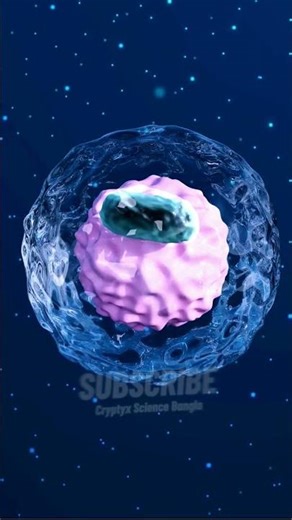 Stones in Your Throat?! 😳 Tonsil Stones Explained (3D Animation) #shortvideo