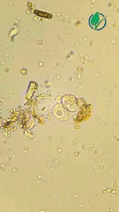 175 reactions · 11 shares | DO NOT DISTURB‼️ Under normal...