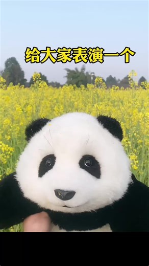 Panda Plush Toys: The Ultimate Collection Guide