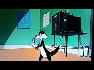 Tweety Pie and Sylvester the Cat