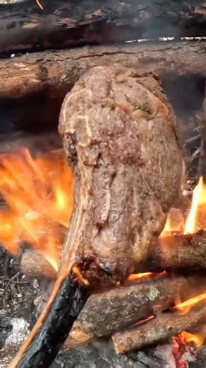 Cooking Giant Steak While Stranded In Below Freezing Forest