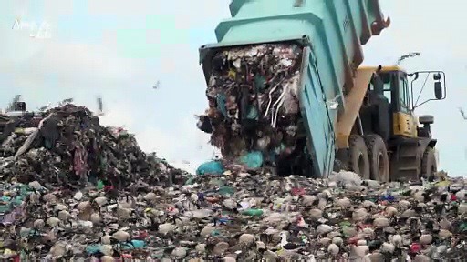 Could trash-powered cars be the key to a greener future?