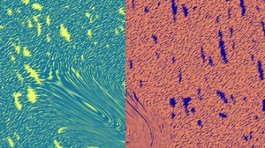 Abstrakte Farbdots-Animation mit Rastermuster: Stockvideos & Filmmaterial (100 % lizenzfrei) 1059245915 | Shutterstock