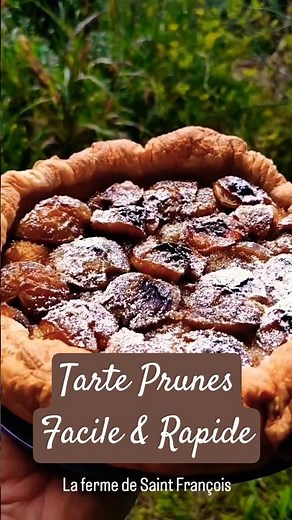 Tarte Facile & Rapide Prune Reine Claude #recette #easyrecipe #recettefacile #dessert #prune #yummy