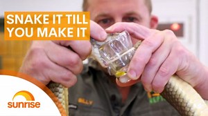 Snake it till you make it