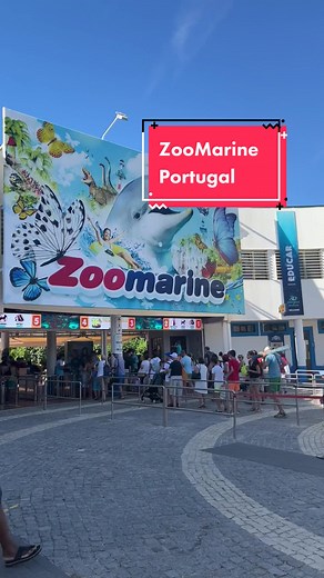 Experience Zoomarine in Portugal | Aquatic Adventures Await