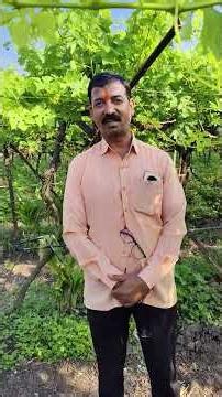 Lechler(लेकलर)-AD90 nozzle for precision spraying #indianfarmer #grapefarming #pomogranate #niphad