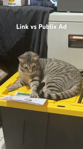 Link vs Publix Ad. 11 months #shorts #cat #kitten #random