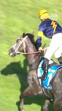 3 years. 3 unbelievable victories. CHAUTAUQUA turned every TJ Smith into a show-stopping moment ⚡️🐎💨