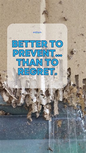 Anthem Pest Control | Atlanta | We hear it all the time: “Is a termite inspection really worth the time if I don’t see any bugs?” Here’s the truth: Termites are the... | Instagram