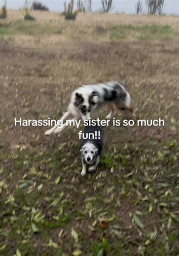 Amy Rothlin183 (@amyrothlin71)’s videos with Bad Reputation - Joan Jett