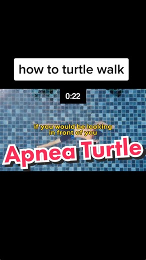 Gert Leroy Underwater บน TikTok
