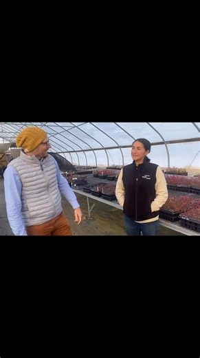 We are thrilled to announce that we have reached our Giving Tuesday fundraising goal of $15,000 for a new rainwater catchment system at Nasami Farm! CEO Tim Johnson and Nursery Coordinator Miho Connolly have a special thank you message for all of the generous donors who helped make this achievement possible. This project will greatly improve our sustainability, climate resilience, and the quality of plants we grow for restoration partners. While we are so grateful for all of your support in maki