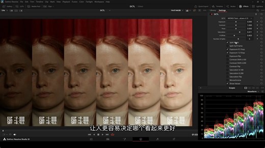 Mononodes TEST STRIP DCTLS VER.3 达芬奇一键式色彩参数数值对比试纸视频调色DCTL插件