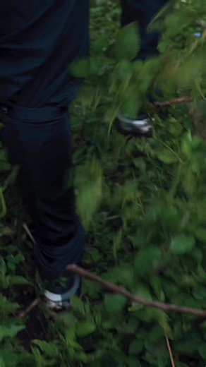 7.2K views · 204 reactions | "It’s an amazing experience, just seeing them." 轢  PSG Legends Jay-Jay Okocha and Didier Domi share their memorable encounter with the mountain gorillas in Volcanoes National Park Rwanda. #VisitRwanda 欄 PSG - Paris Saint-Germain | Visit Rwanda | Facebook