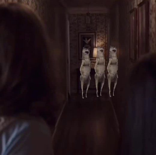 dancer_wolves_daily on Instagram: "Day 83, dancer wolves . . . #dancer #wolves"