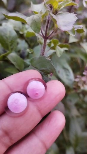 Diy resin earring making #diy#handmade#craftvideos #shots#youtubeshorts