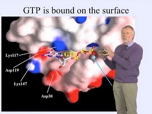 Alfred Wittinghofer (MPI) Part 2: GTPase Reactions and Diseases