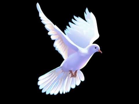 Chapelet à l'Esprit Saint