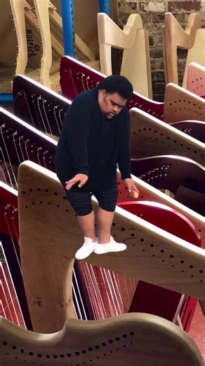 When you find harps that are afforable, portable and sound great. #harp #harptok #rees #harpsicle #fyp #happy #dance