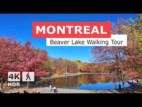 [ 4K ] 🍃🍂 Peaceful and Colorful City Retreat Walking Tour | Beaver Lake 🦫 | Montreal, Canada 2025 🇨🇦
