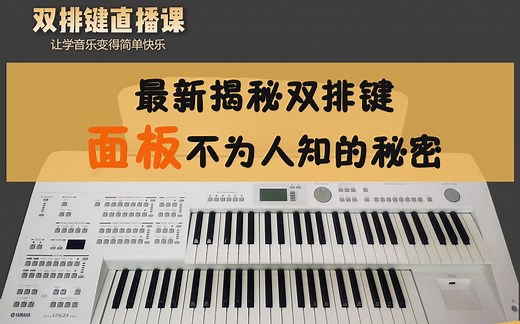 《双排键琴键使用》第二课:如何用双排键玩音乐(上)