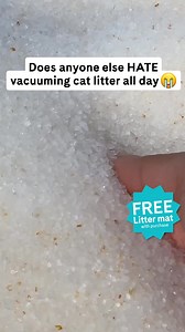 Treat yourself to our low maintenance, incredibly convenient cat litter solution! PrettyLitter is tough on odors, gentle on paws, and helps you keep tabs on your cat’s health. | PrettyLitter
