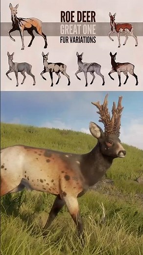 Early Access: New GREAT ONE Roe Deer + ALL 6 fur types revealed! The Hunter: Call of the Wild #cotw