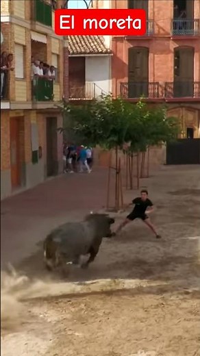 El Moreta con uno de + de 500 KG