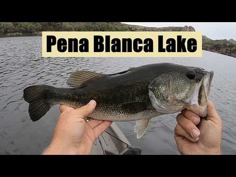 Fishing Conditions Were TOUGH...This Is How We Caught Fish! (Pena Blanca Lake, Arizona)