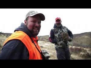 Mule Deer Bucks of Utah's Wasatch Mountains