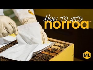 How to Apply Norroa | Step-by-Step Varroa Mite Treatment Guide