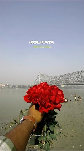 Priy Anshu on Instagram: "Asia’s biggest flower market 📍Mallick ghat || kolkata . . save and share the reel don’t forgot to follow @contain_clicker . . #kolkata #mallickghat #mallickghatflowermarket #flowermarket #reelsvideo #reelitfeelit #reelsinstagram #reelkarofeelkaro #reelviral #viral #viralreels #foryou #tranding #kolkatadiaries #calcuttacanvas #share #save #contain_clicker"