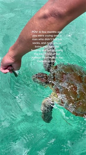 Tulum Excursion: Snorkeling and Mayan Ruins Tour