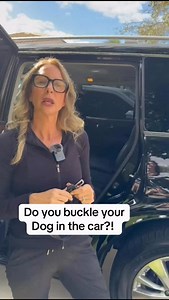 Buckle your pup in for every ride 🐶🚗 The Mighty Paw Car Seat Buckle keeps dogs safe, secure, and comfy while you drive. No more jumping. No more sliding. Just safer adventures together. Comment CAR for the link 🔗 #DogSafety #PetTravel #CarRideReady #SafePup #DogParents | Dynamite Dog Training