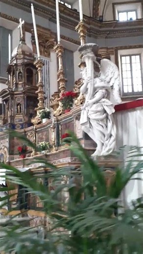 Paolo Maggiore 008