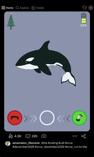 Should I Call Orca?