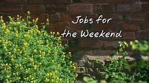 BBC Gardeners World on Reels