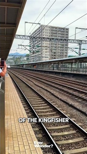 WHY HIGH-SPEED TRAINS ARE DESIGNED WITH BIRD-LIKE NOSES?#funfacts #facts #uniquefacts