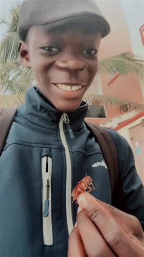 ��� on Instagram: "Faux mbot la nak😒🤣🤣🤣🤣🫴🏾 @morant4666 @mamadouant youkhou yi #senegal🇸🇳 #cafard #friends"