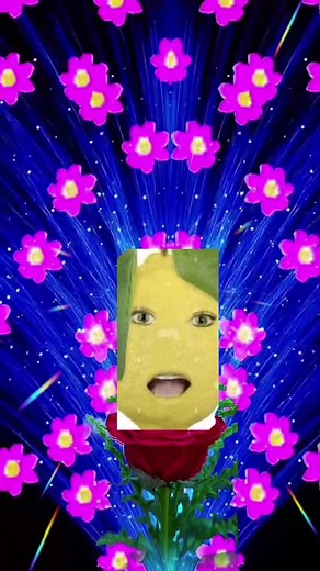 #CapCut #fyp #meme #lemon #burpinglemon