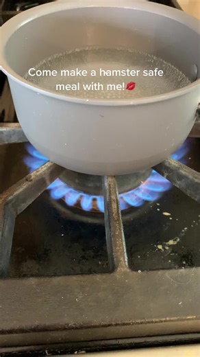 #hamster #foryou #foodforhamsters #hamstersaferecipes