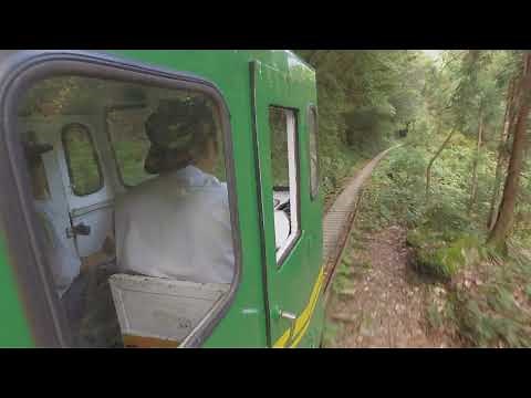 安房りんてつ: Ride Japan's last Forest Railway on remote Yakushima Island 屋久島 or 安房森林軌道