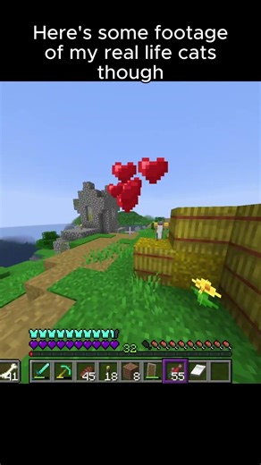Day 1 of Minecraft Challenges
