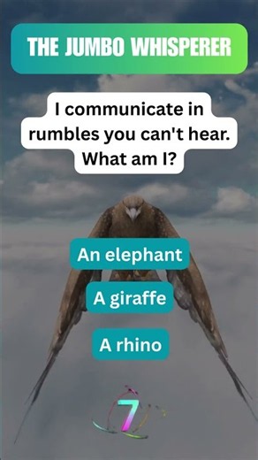Animal Antics Riddles #2
