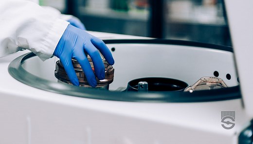 Protocol for Isolating Mononuclear Cells from Whole Blood