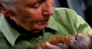 78K views · 710 reactions | How scientists are corrupting their own experiments. | Seeker by The Verge | Facebook