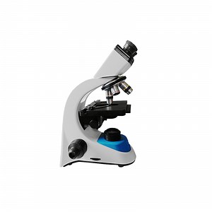 [Hot Item] Biobase China Digital Laboratory Biological Microscope Model Xs-208A with LCD Display Microscope for Laboratory